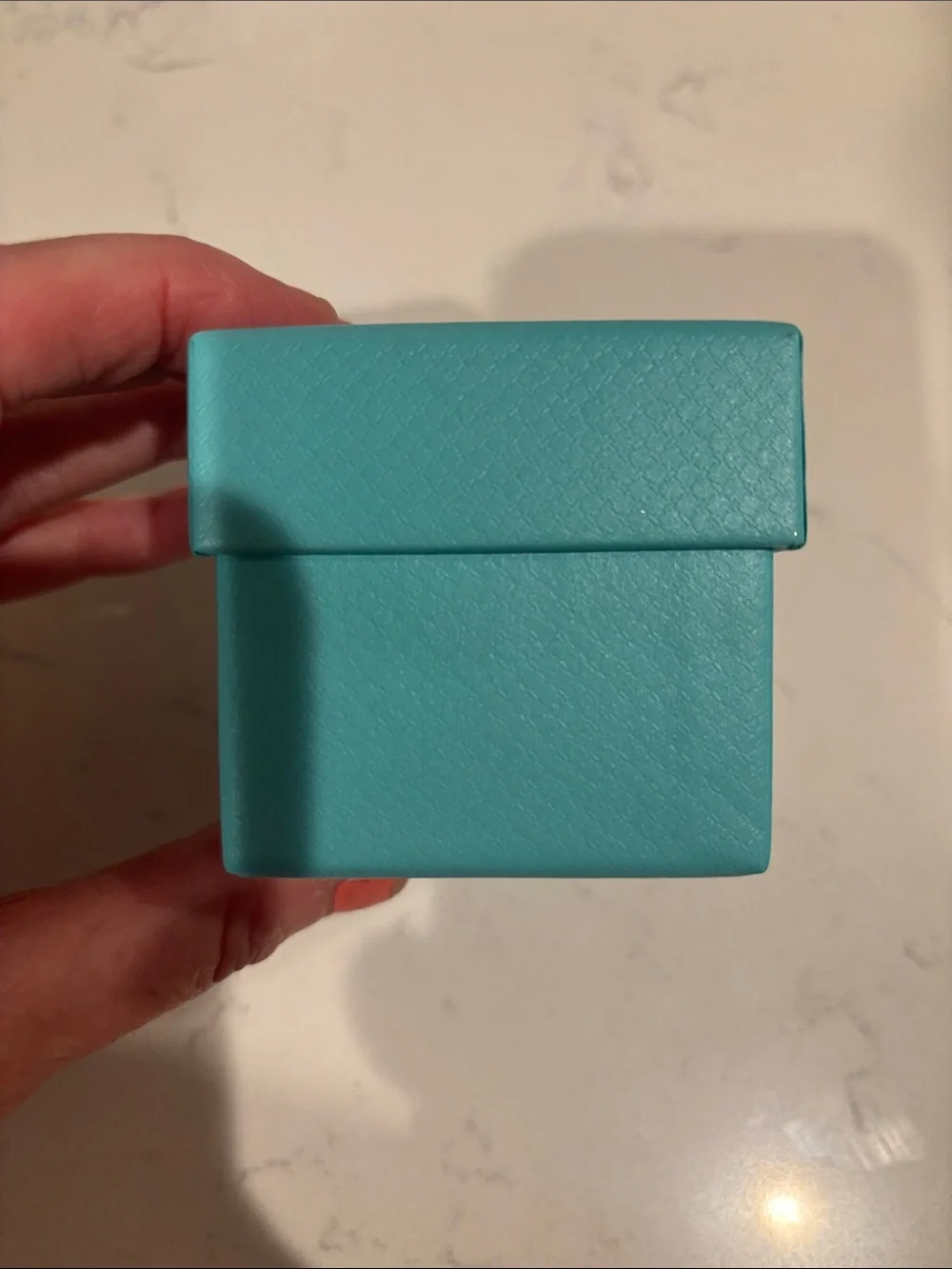 Tiffany & Co. Robin's Egg Blue Gift Box with Logo